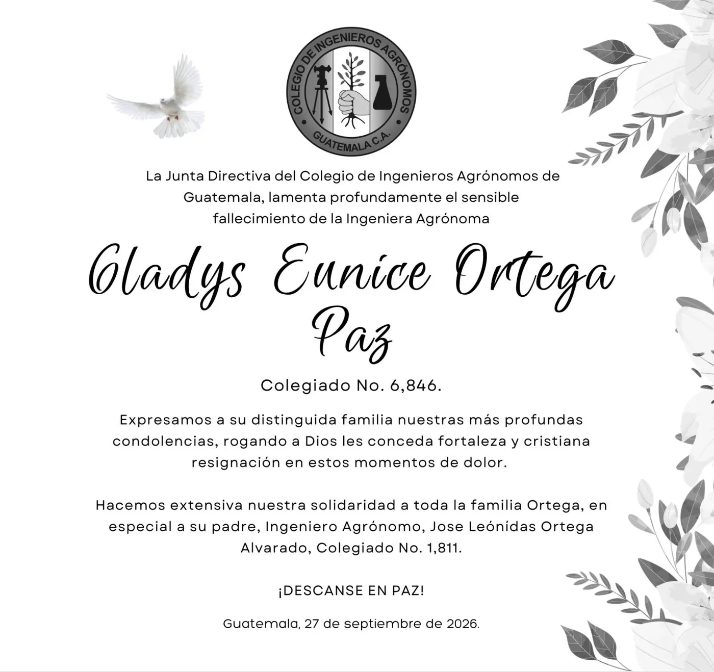 Puede ser una imagen de texto